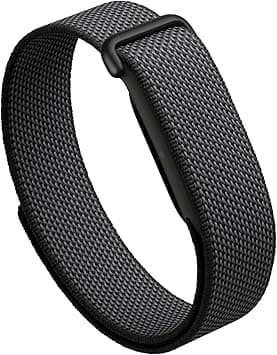 Google Fitbit Next, Obsidiana