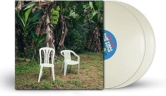 DEBÍ TIRAR MÁS FOTOS (Vinyl)
